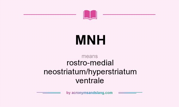 What does MNH mean? It stands for rostro-medial neostriatum/hyperstriatum ventrale