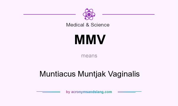 What does MMV mean? It stands for Muntiacus Muntjak Vaginalis