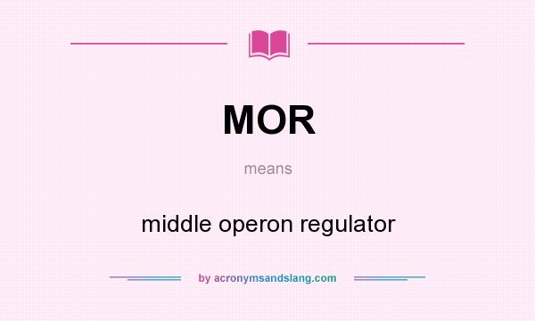 What does MOR mean? It stands for middle operon regulator