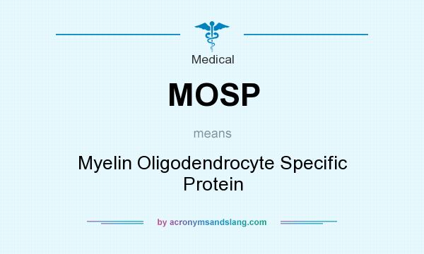 What does MOSP mean? It stands for Myelin Oligodendrocyte Specific Protein