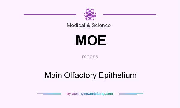 What does MOE mean? It stands for Main Olfactory Epithelium