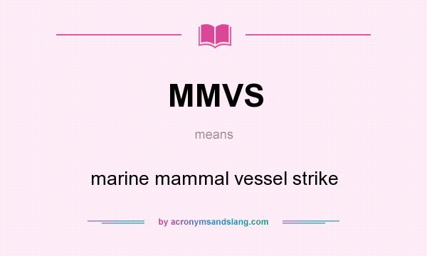 What does MMVS mean? It stands for marine mammal vessel strike