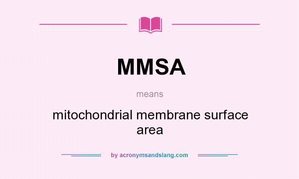 What does MMSA mean? It stands for mitochondrial membrane surface area