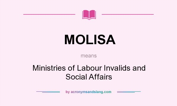 What does MOLISA mean? It stands for Ministries of Labour Invalids and Social Affairs