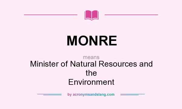 What does MONRE mean? It stands for Minister of Natural Resources and the Environment