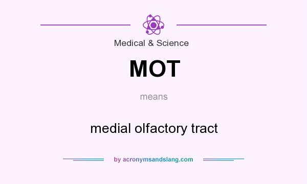 What does MOT mean? It stands for medial olfactory tract