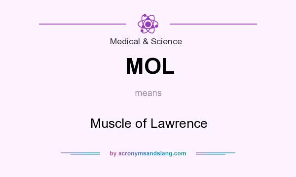 What does MOL mean? It stands for Muscle of Lawrence