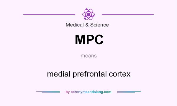 What does MPC mean? It stands for medial prefrontal cortex