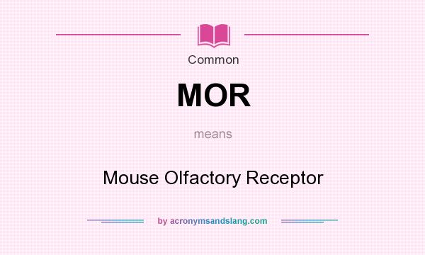 What does MOR mean? It stands for Mouse Olfactory Receptor