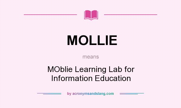 What does MOLLIE mean? It stands for MOblie Learning Lab for Information Education