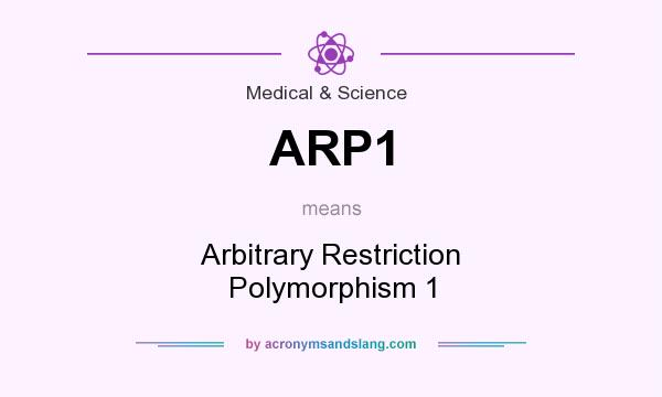 What does ARP1 mean? It stands for Arbitrary Restriction Polymorphism 1