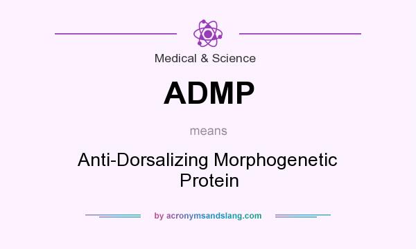 What does ADMP mean? It stands for Anti-Dorsalizing Morphogenetic Protein