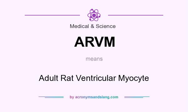 What does ARVM mean? It stands for Adult Rat Ventricular Myocyte