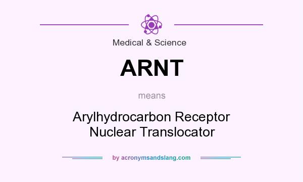 What does ARNT mean? It stands for Arylhydrocarbon Receptor Nuclear Translocator