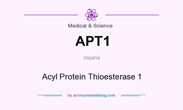 What does APT1 mean? It stands for Acyl Protein Thioesterase 1