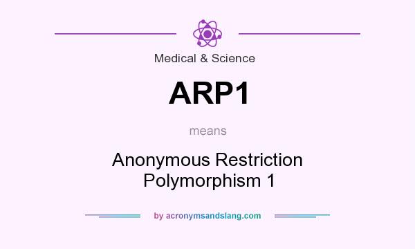 What does ARP1 mean? It stands for Anonymous Restriction Polymorphism 1