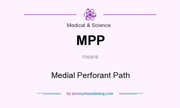 What does MPP mean? It stands for Medial Perforant Path