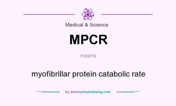 What does MPCR mean? It stands for myofibrillar protein catabolic rate
