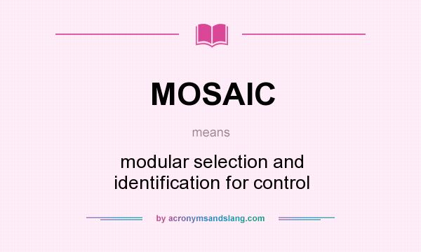 What does MOSAIC mean? It stands for modular selection and identification for control