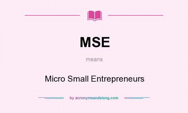 What does MSE mean? It stands for Micro Small Entrepreneurs