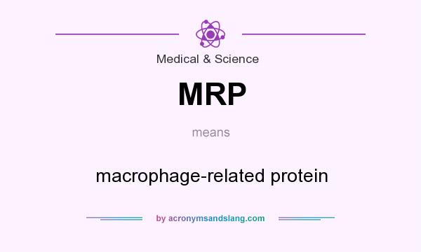 What does MRP mean? It stands for macrophage-related protein