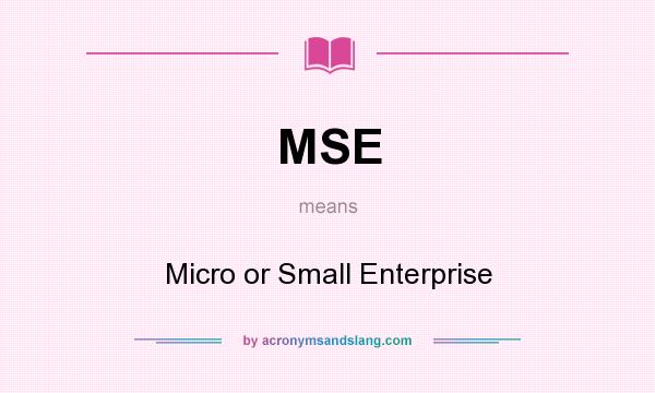 What does MSE mean? It stands for Micro or Small Enterprise