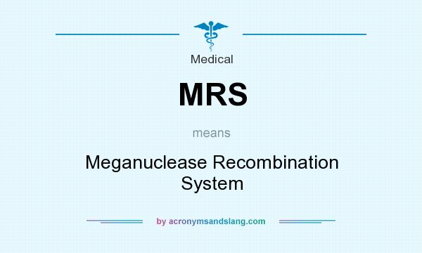 What does MRS mean? It stands for Meganuclease Recombination System