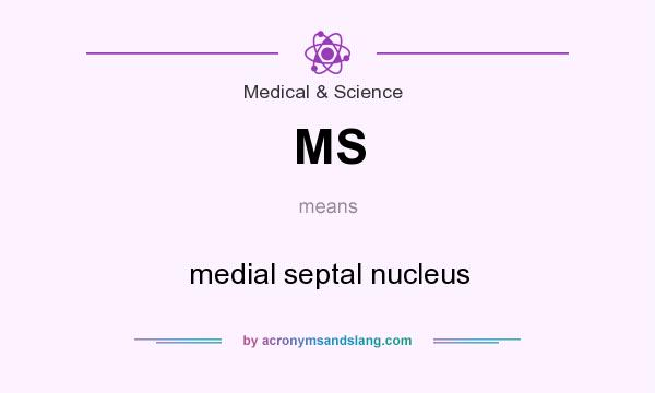 What does MS mean? It stands for medial septal nucleus