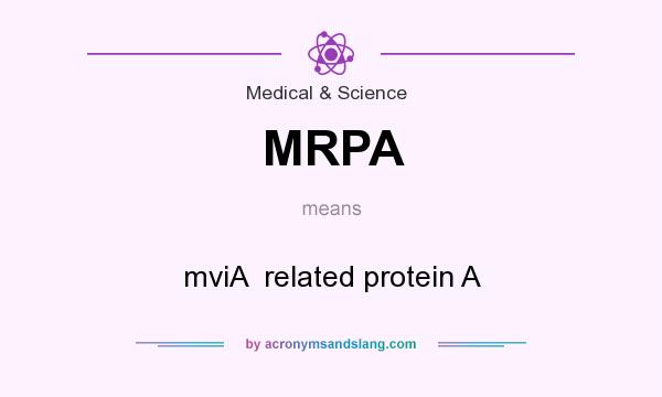 What does MRPA mean? It stands for mviA  related protein A