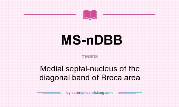 What does MS-nDBB mean? It stands for Medial septal-nucleus of the diagonal band of Broca area