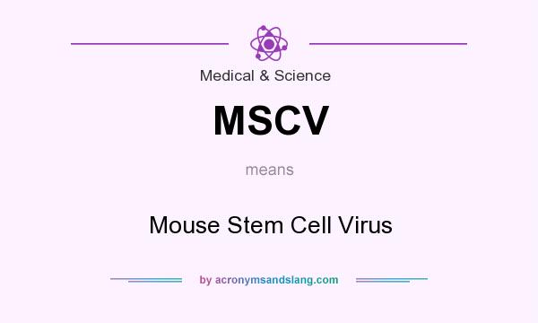 What does MSCV mean? It stands for Mouse Stem Cell Virus