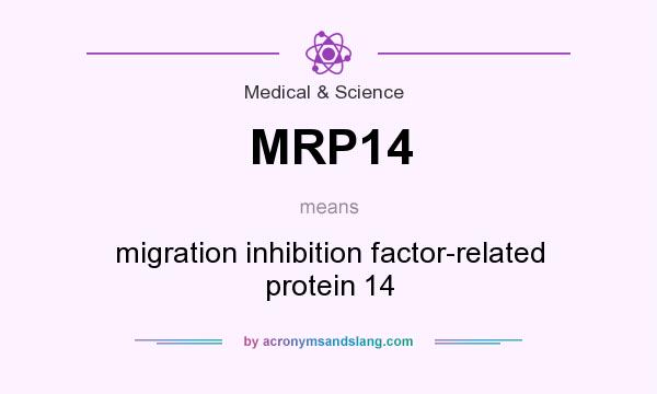 What does MRP14 mean? It stands for migration inhibition factor-related protein 14