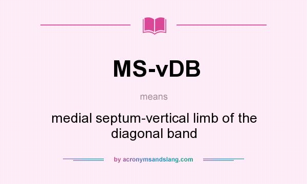 What does MS-vDB mean? It stands for medial septum-vertical limb of the diagonal band