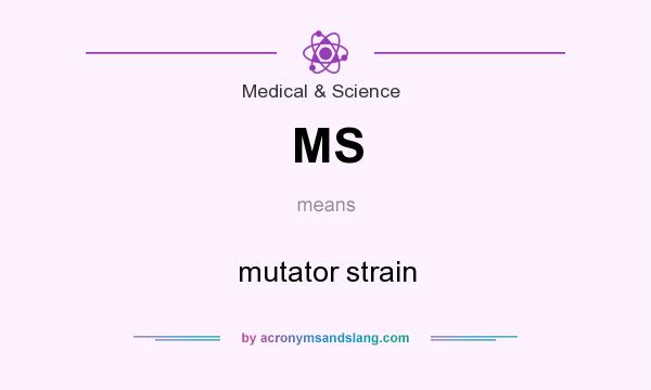 What does MS mean? It stands for mutator strain