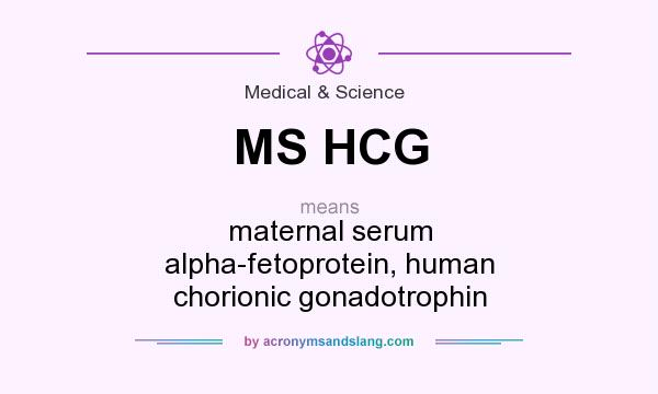 What does MS HCG mean? It stands for maternal serum alpha-fetoprotein, human chorionic gonadotrophin