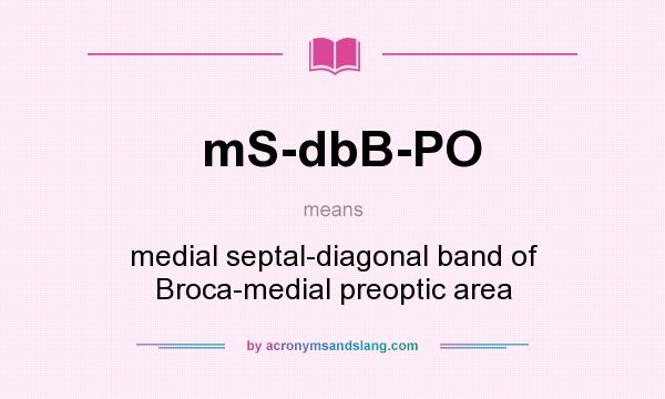 What does mS-dbB-PO mean? It stands for medial septal-diagonal band of Broca-medial preoptic area