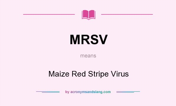 What does MRSV mean? It stands for Maize Red Stripe Virus
