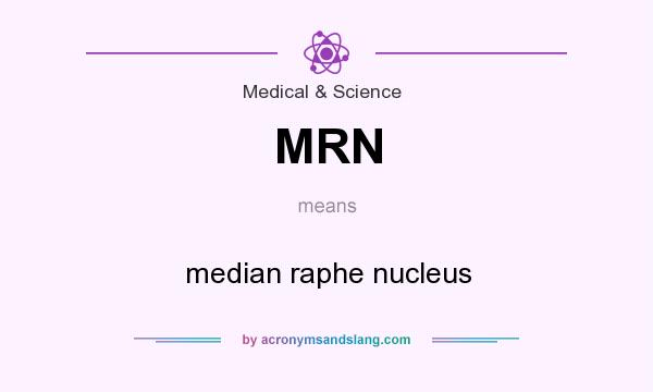 What does MRN mean? It stands for median raphe nucleus