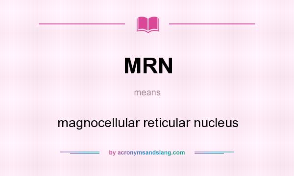 What does MRN mean? It stands for magnocellular reticular nucleus