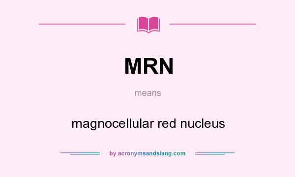 What does MRN mean? It stands for magnocellular red nucleus