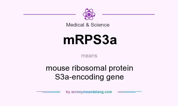 What does mRPS3a mean? It stands for mouse ribosomal protein S3a-encoding gene