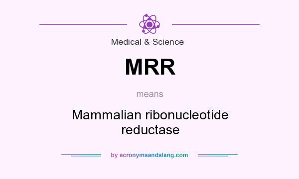 What does MRR mean? It stands for Mammalian ribonucleotide reductase
