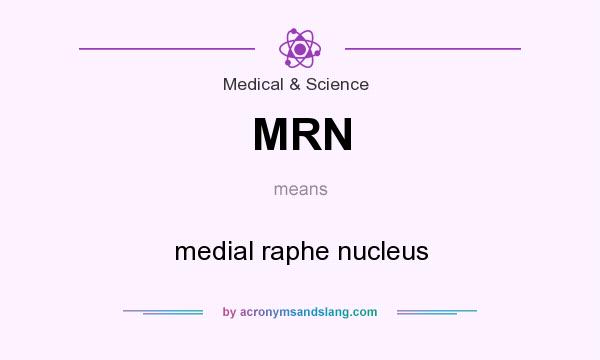 What does MRN mean? It stands for medial raphe nucleus
