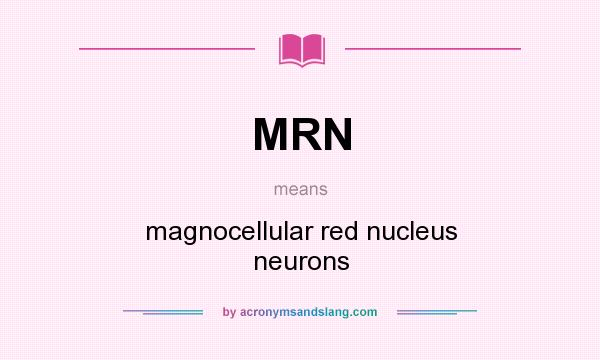 What does MRN mean? It stands for magnocellular red nucleus neurons