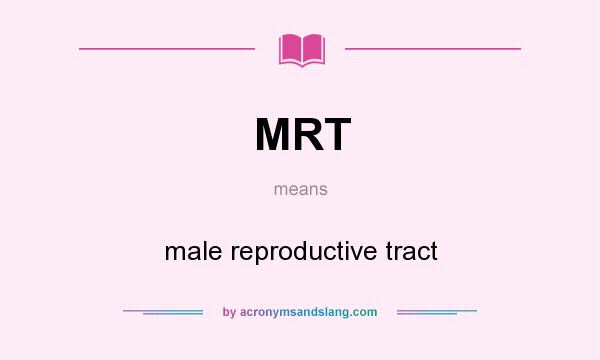 What does MRT mean? It stands for male reproductive tract