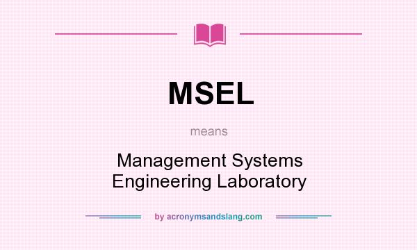What does MSEL mean? It stands for Management Systems Engineering Laboratory