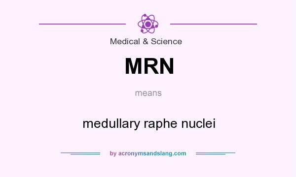What does MRN mean? It stands for medullary raphe nuclei