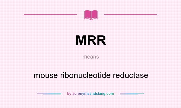 What does MRR mean? It stands for mouse ribonucleotide reductase
