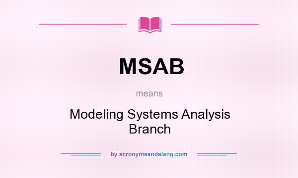 What does MSAB mean? It stands for Modeling Systems Analysis Branch