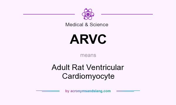 What does ARVC mean? It stands for Adult Rat Ventricular Cardiomyocyte